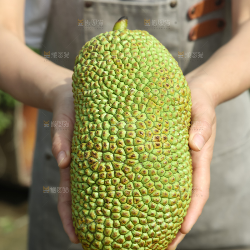 榴莲蜜