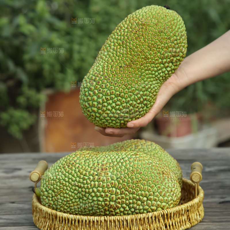 榴莲蜜