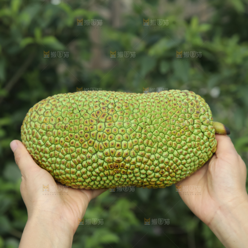榴莲蜜
