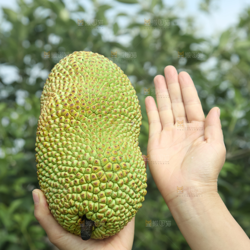 榴莲蜜