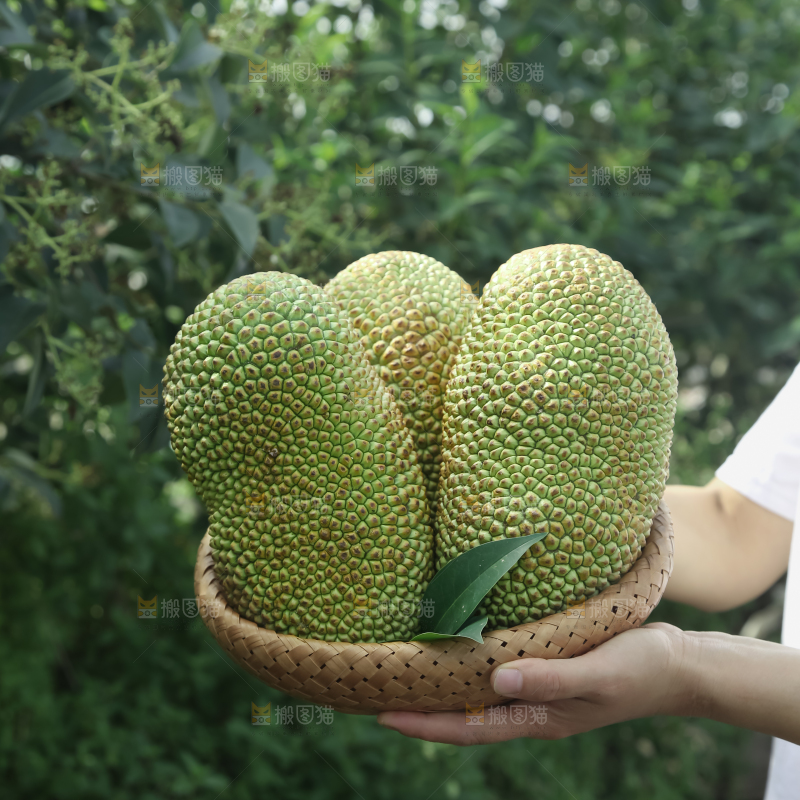 榴莲蜜