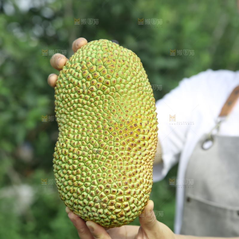 榴莲蜜