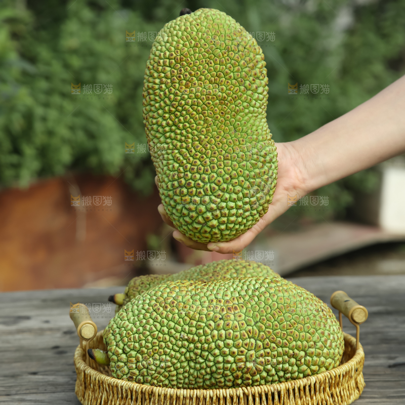 榴莲蜜