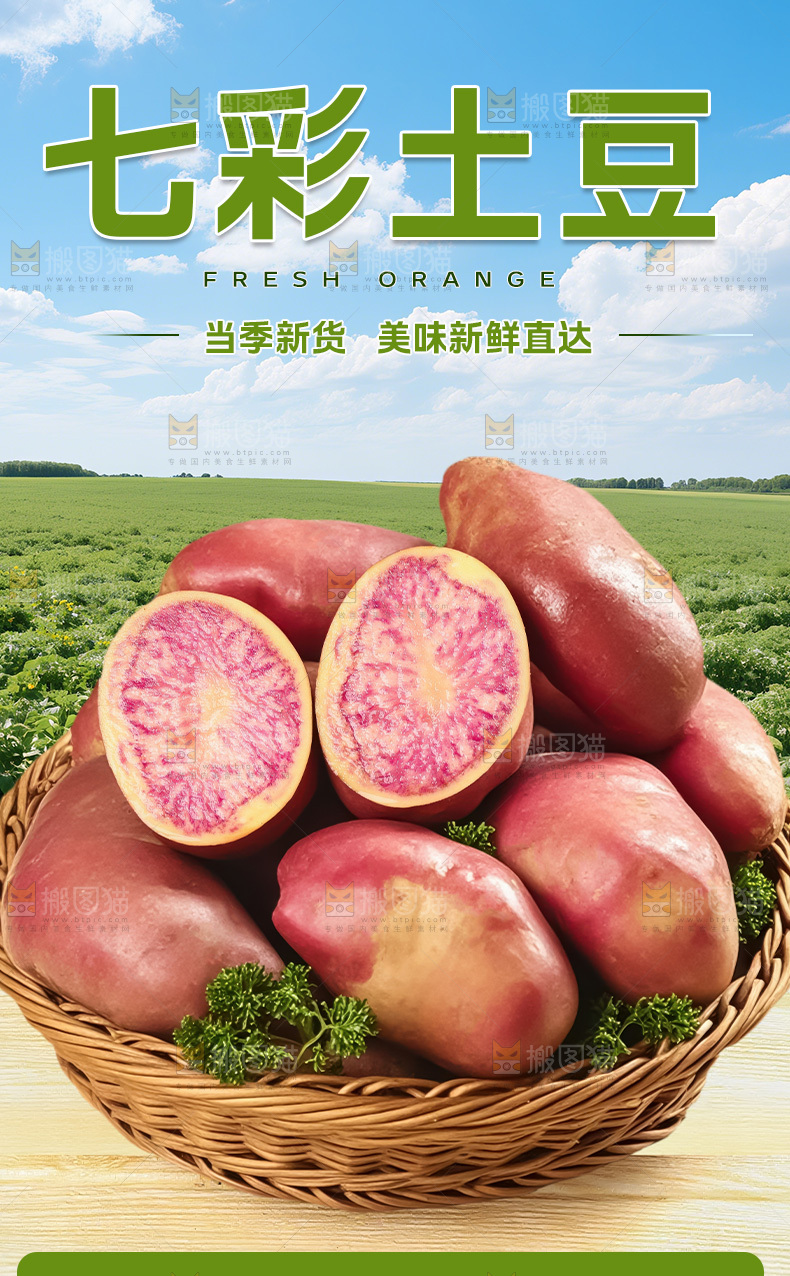 七彩土豆详情页