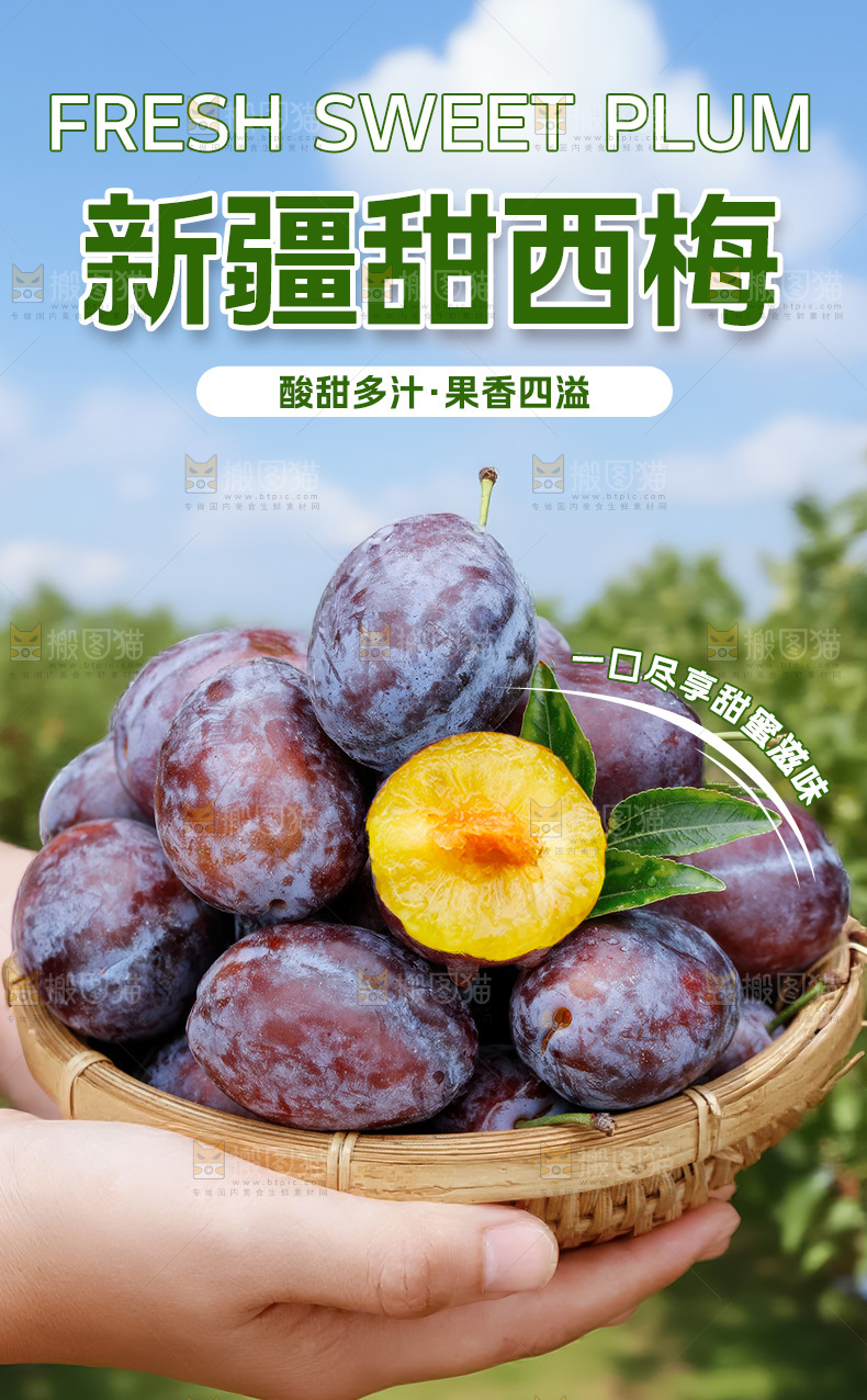 西梅详情页