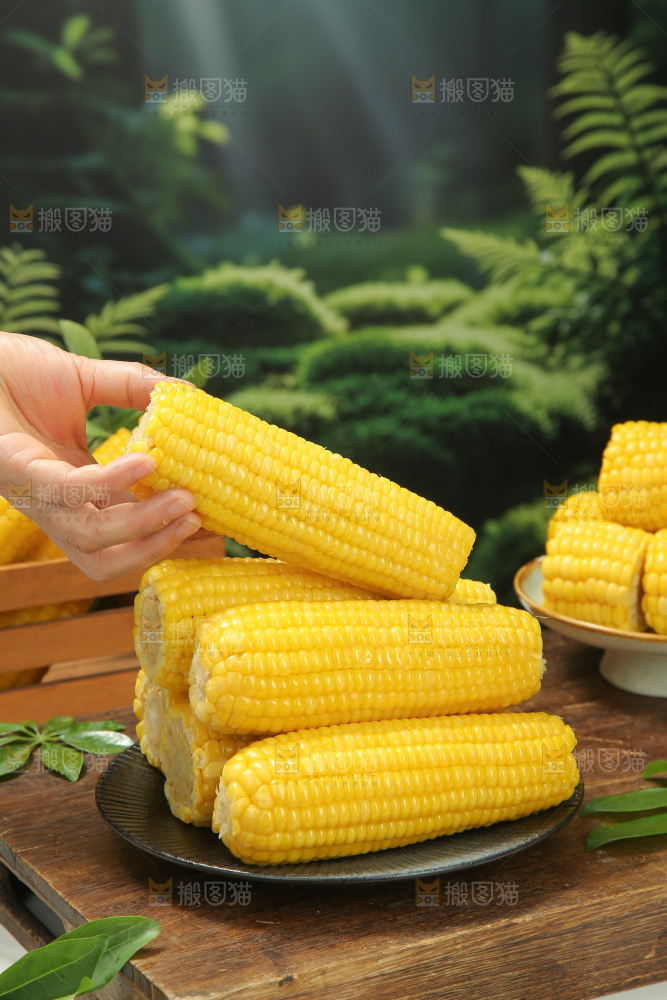黄糯玉米