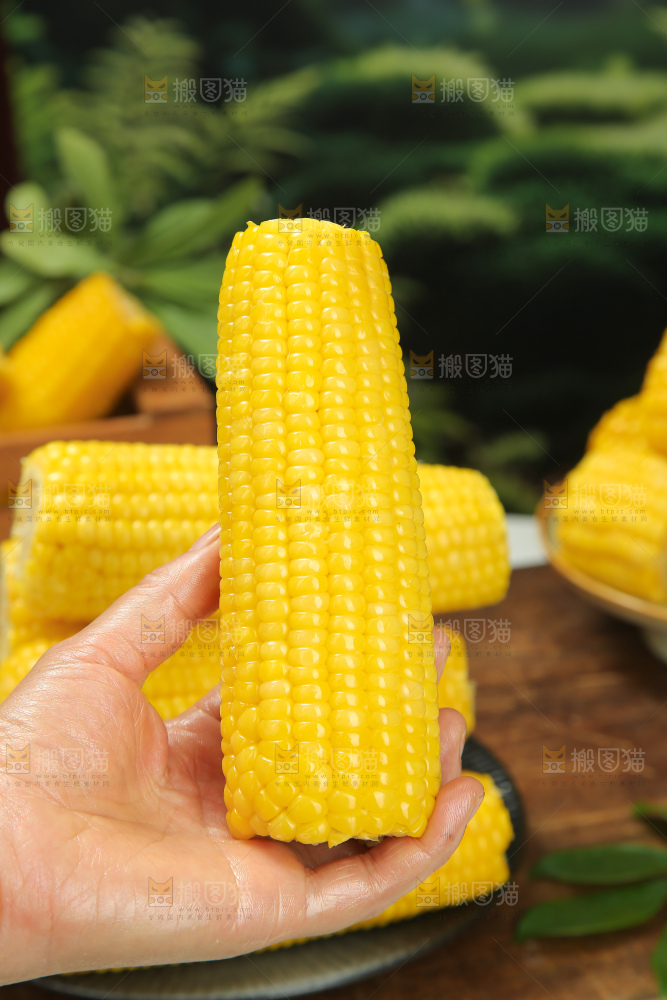 黄糯玉米