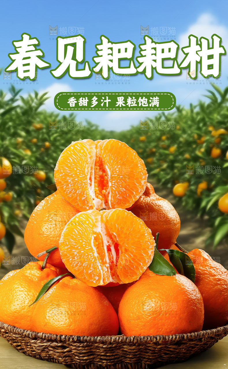 春见耙耙柑详情页
