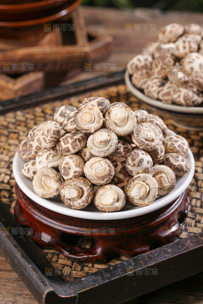 小花菇