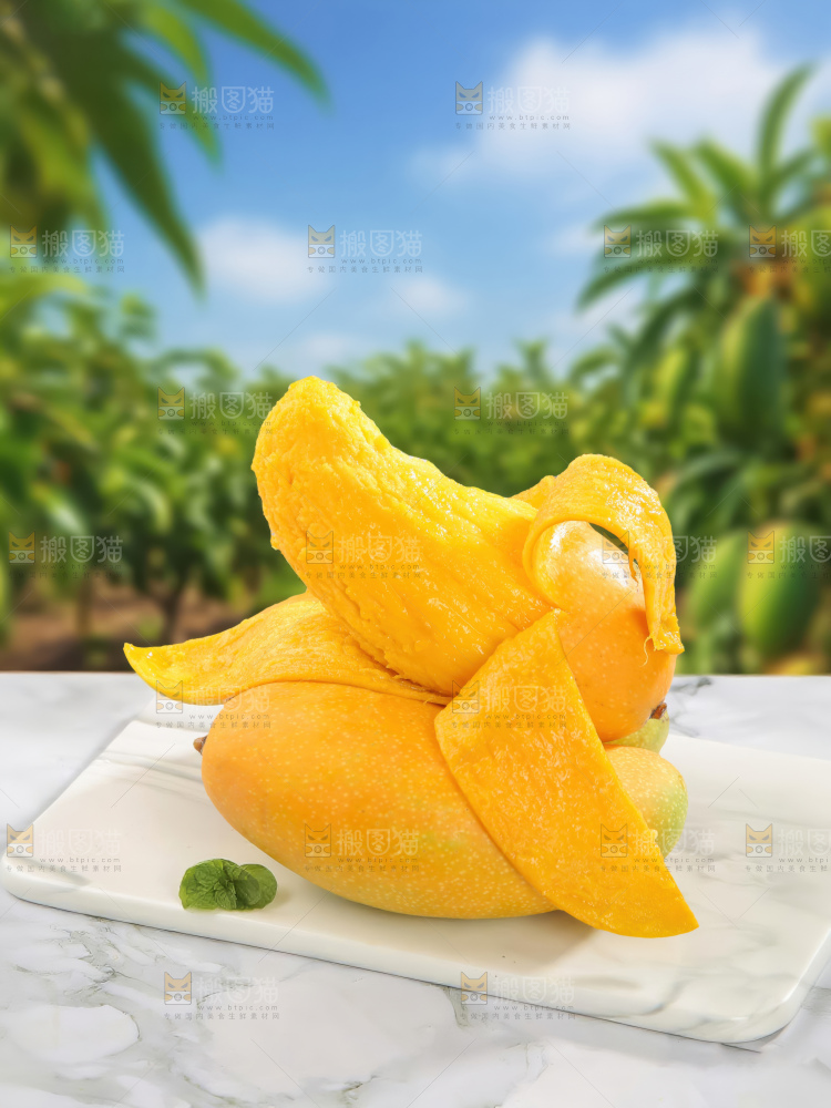 金煌芒