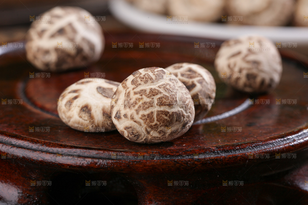 小花菇