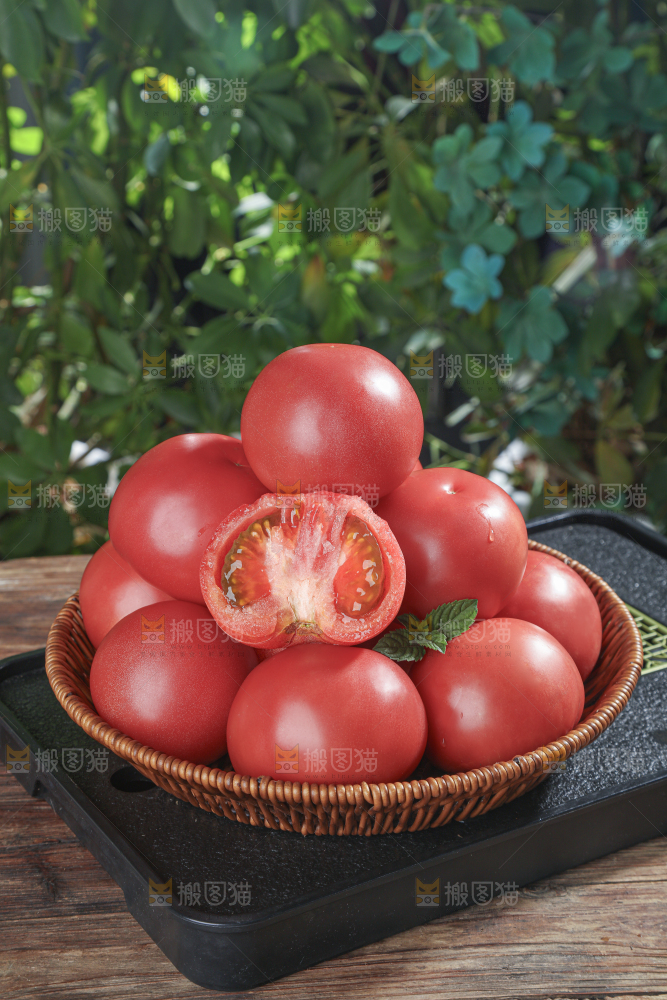 普罗旺斯西红柿