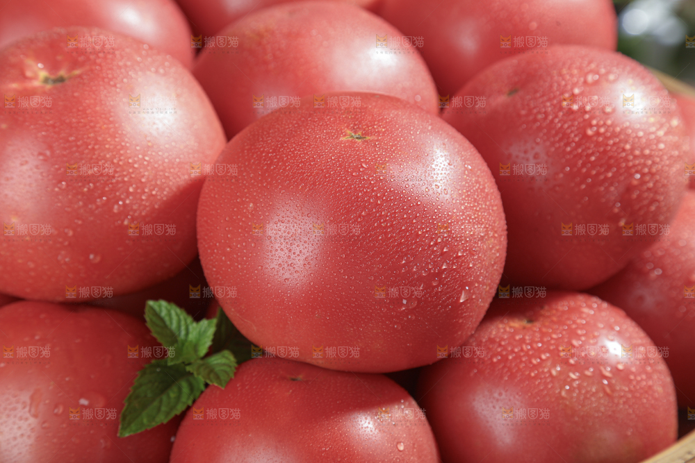 普罗旺斯西红柿