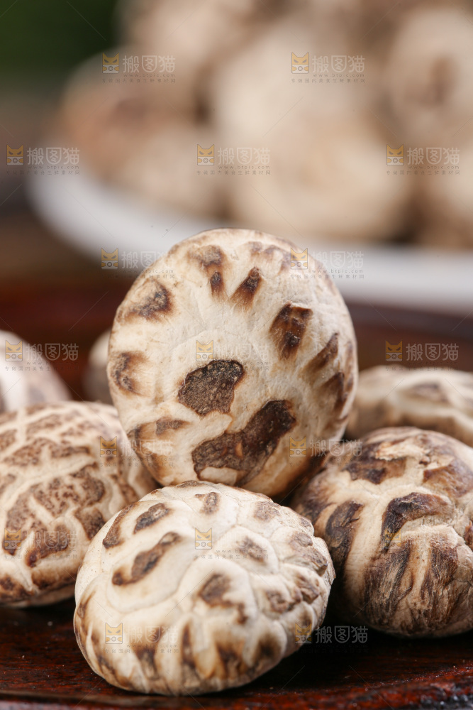小花菇