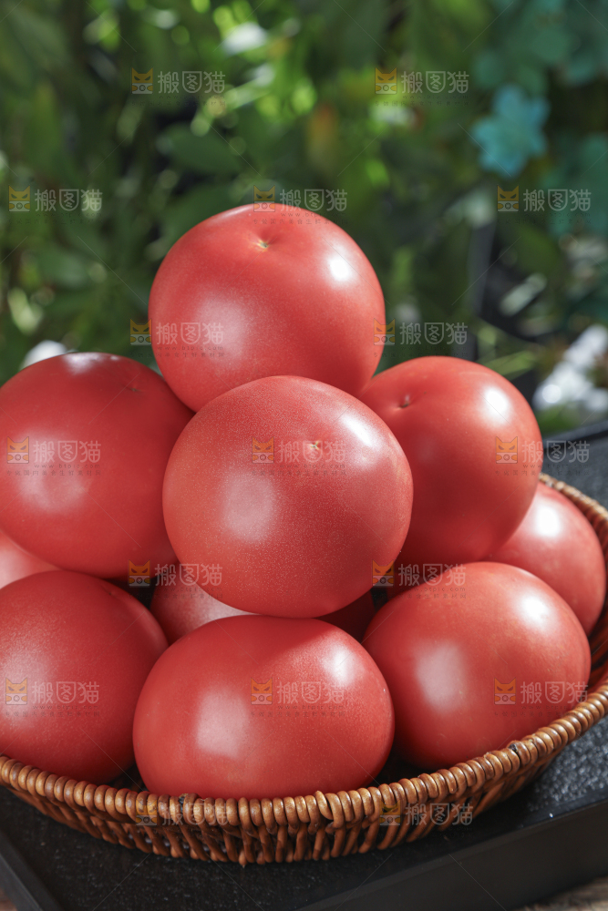 普罗旺斯西红柿