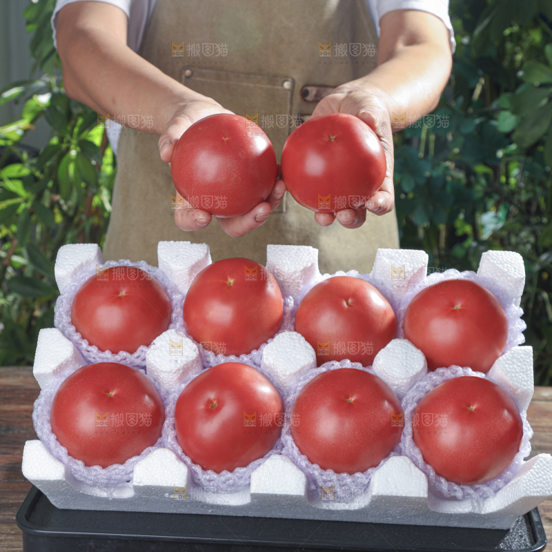 普罗旺斯西红柿