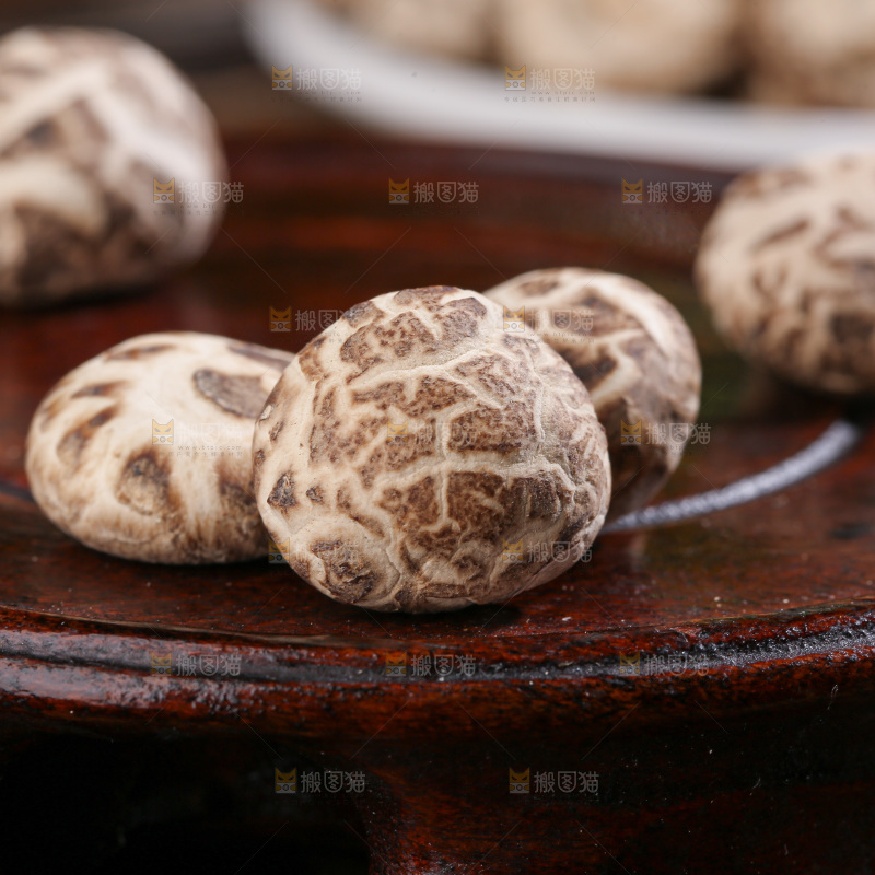 小花菇