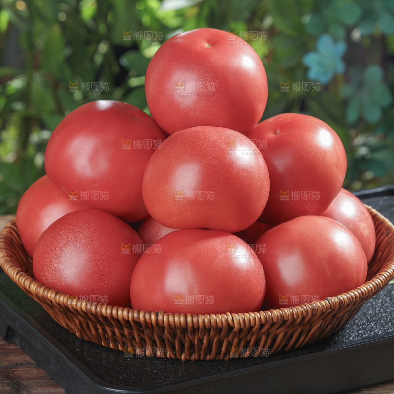 普罗旺斯西红柿