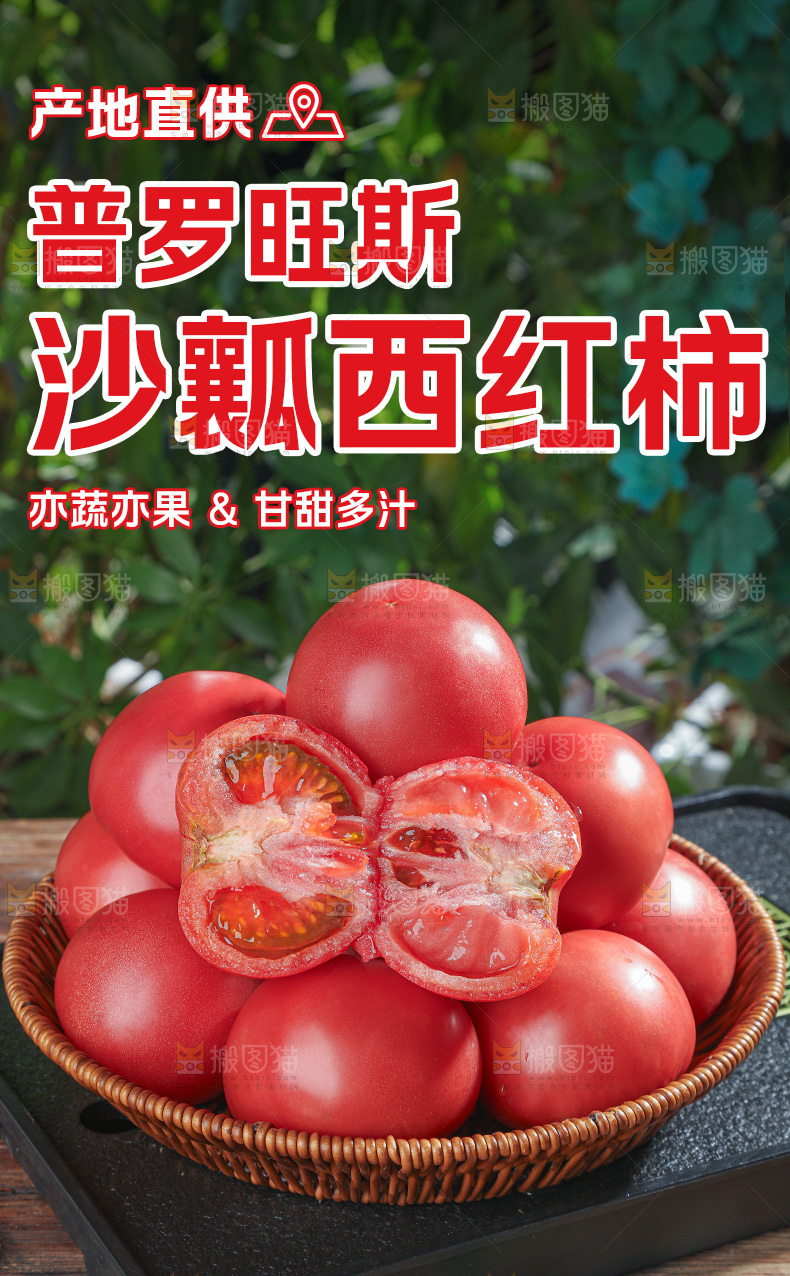 普罗旺斯西红柿详情页