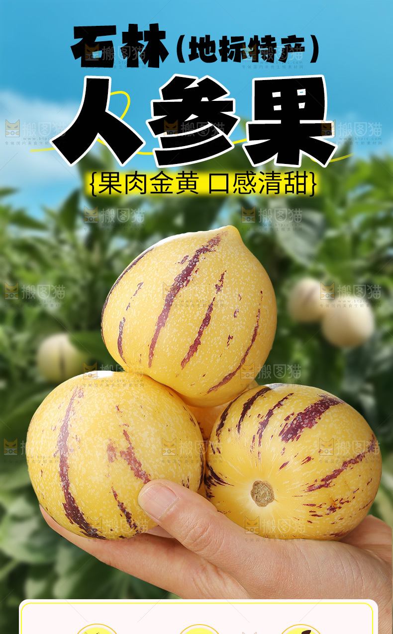 石林人参果详情页