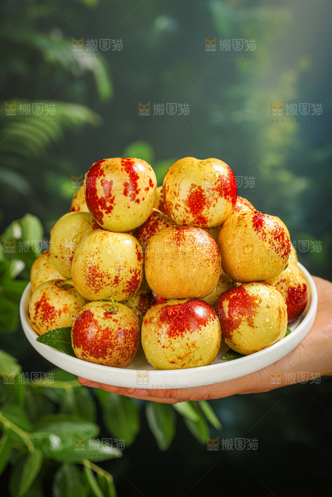 冬枣