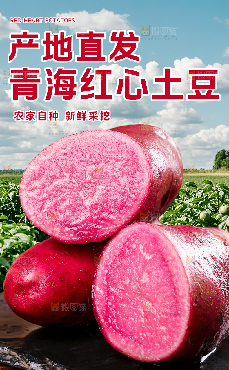 红心土豆详情页