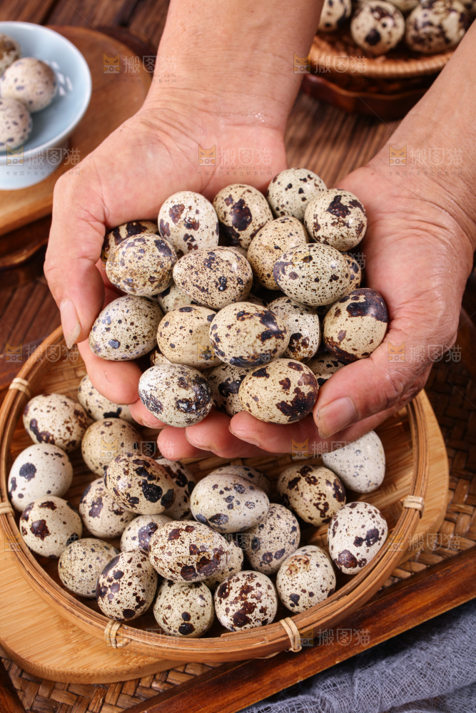 鹌鹑蛋