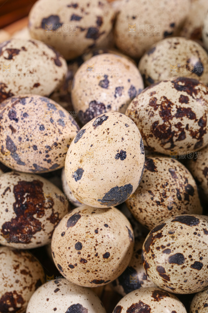 鹌鹑蛋