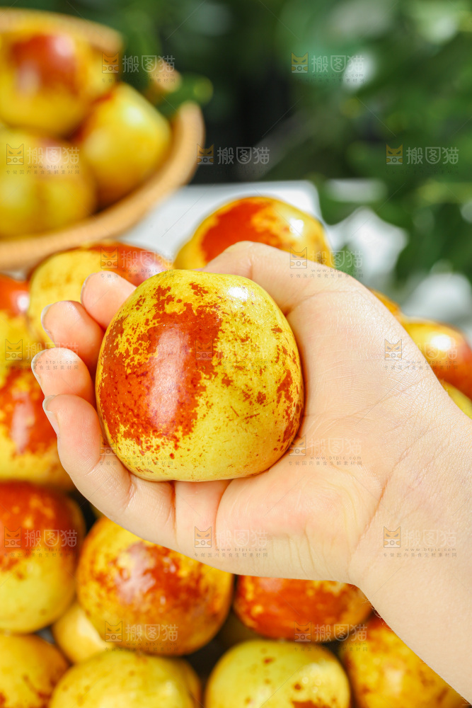 冬枣