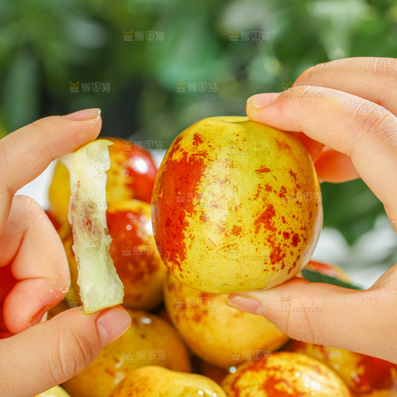冬枣