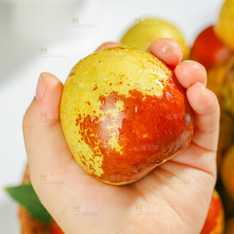 冬枣
