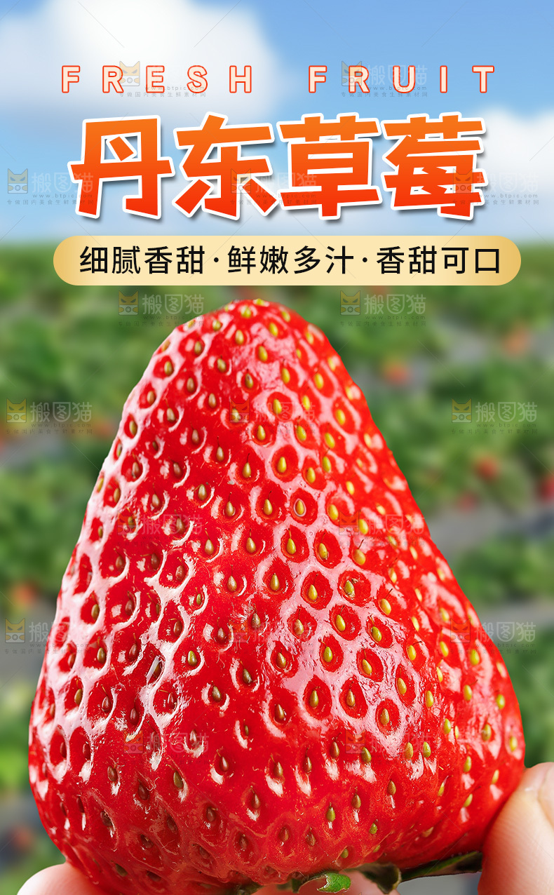 丹东草莓详情页