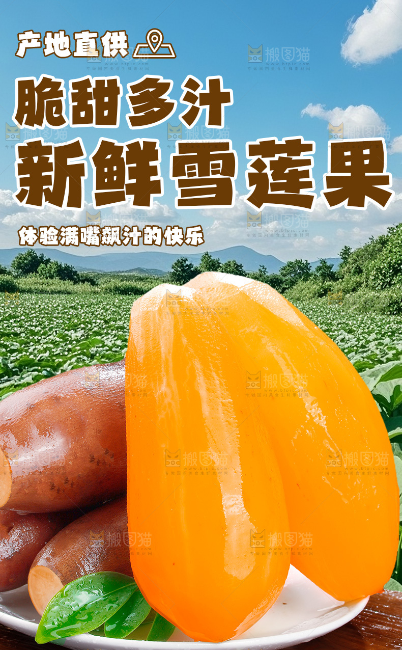 雪莲果详情页