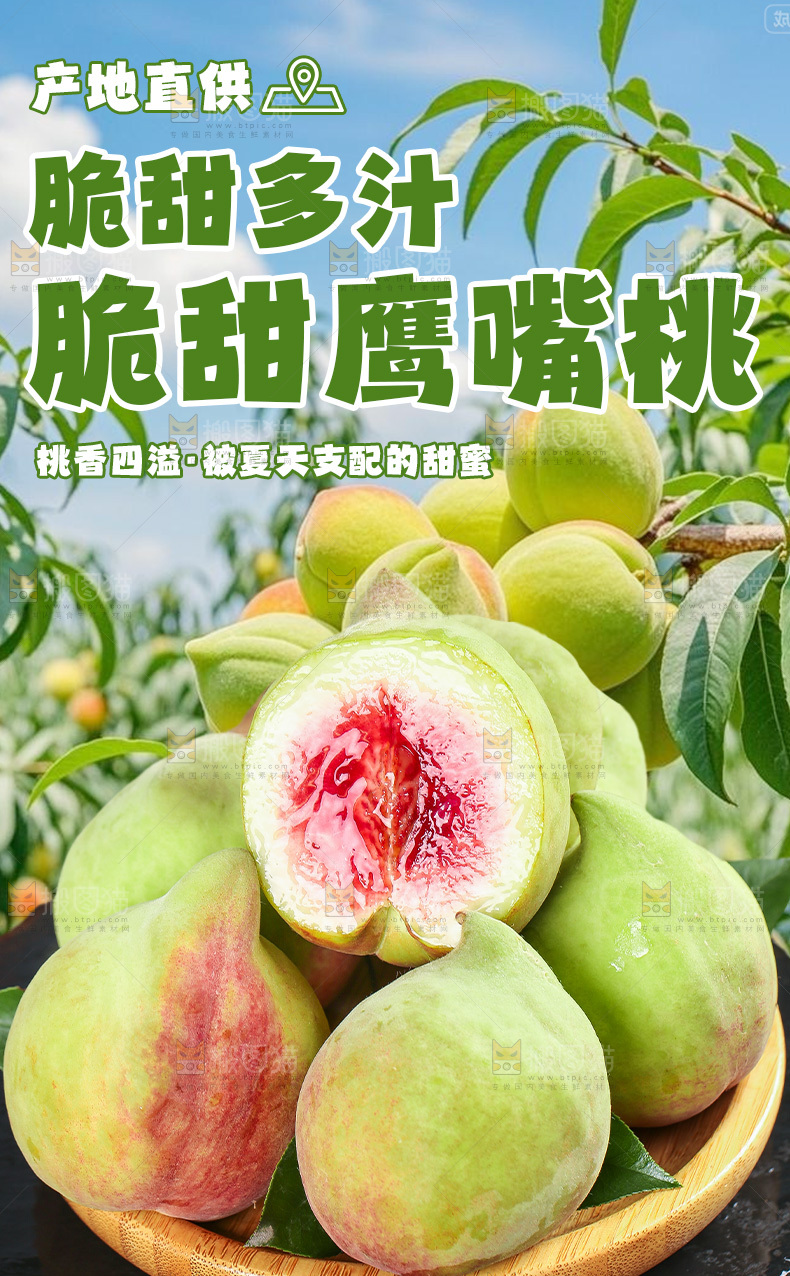 新鲜鹰嘴桃详情页