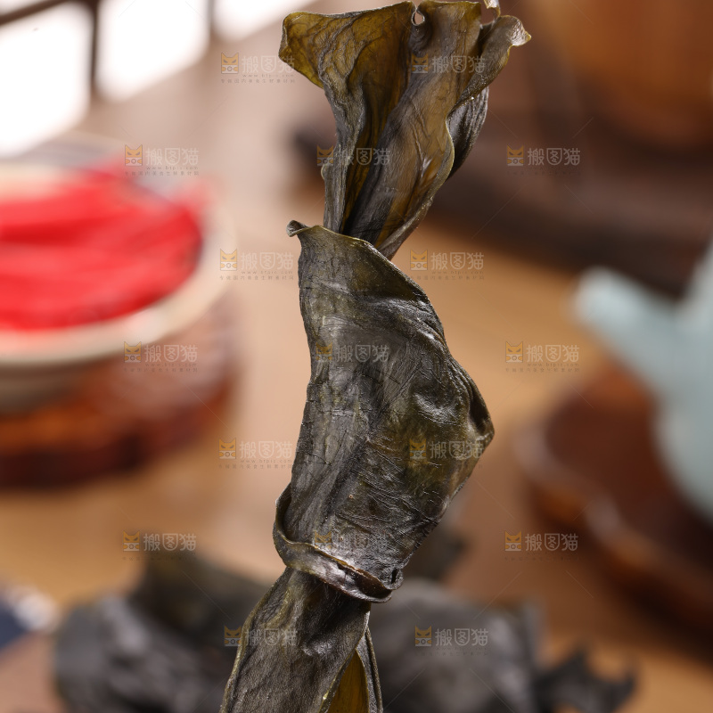 海带结