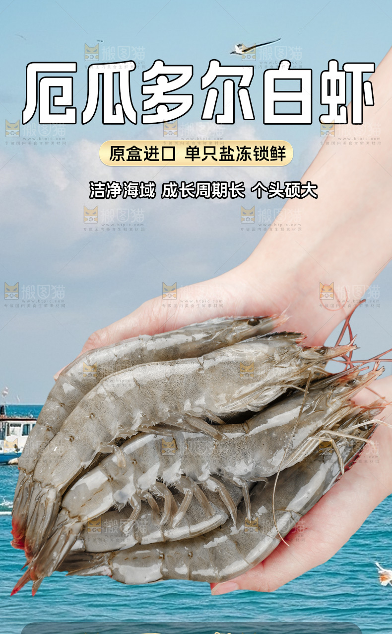 南美大虾详情页