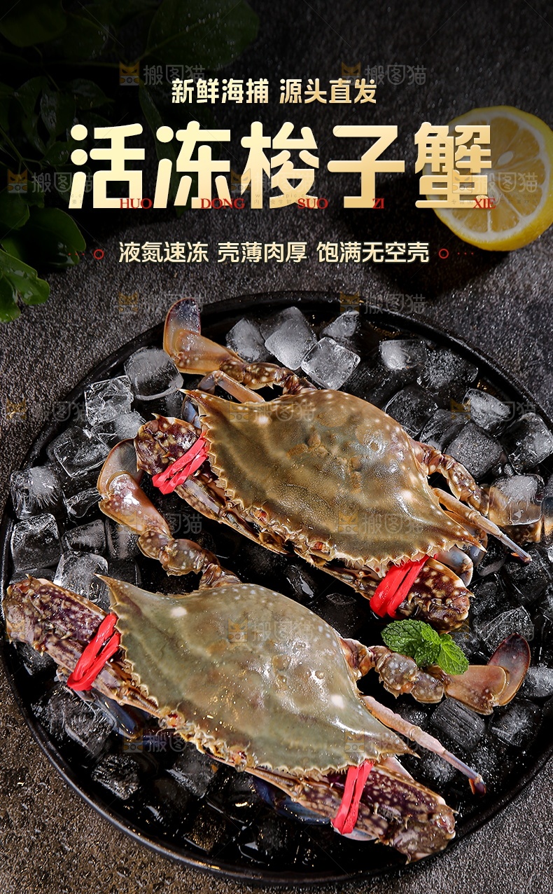 梭子蟹详情页
