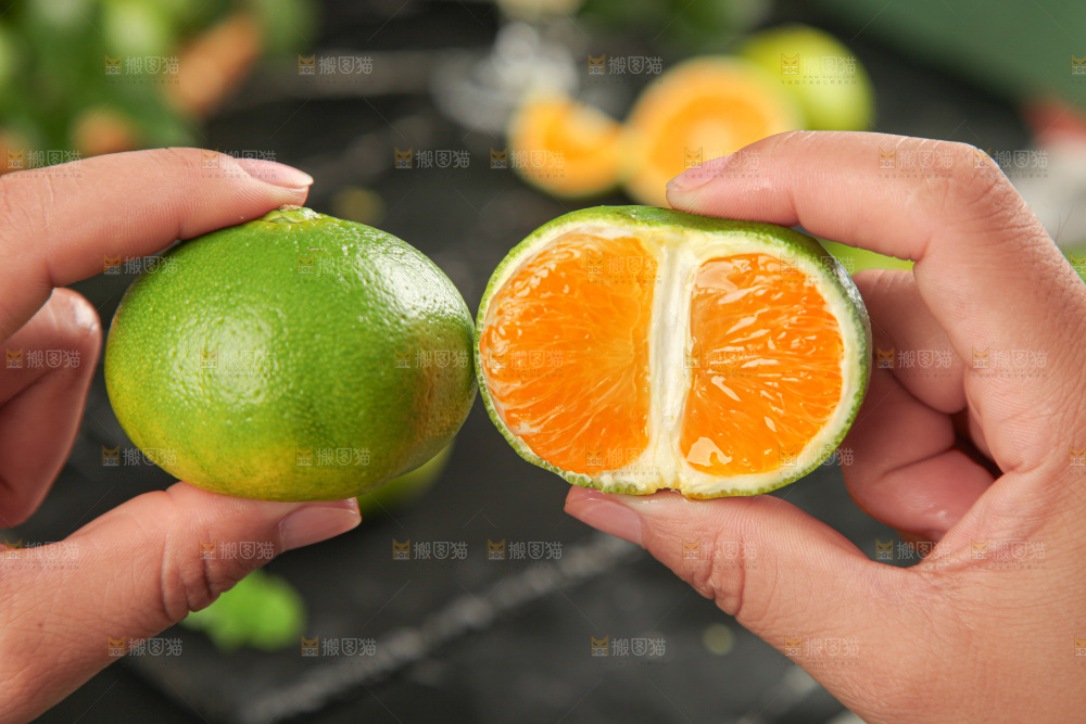 青皮蜜桔