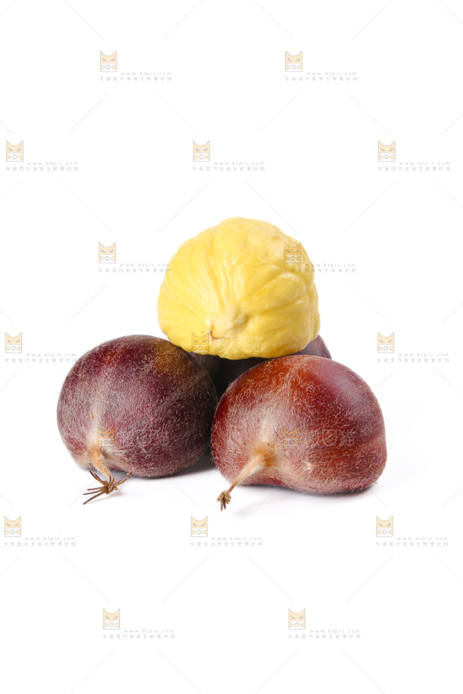 板栗