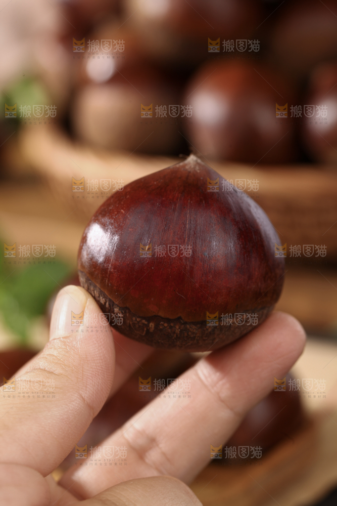 板栗