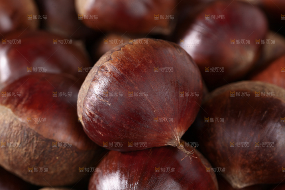 板栗