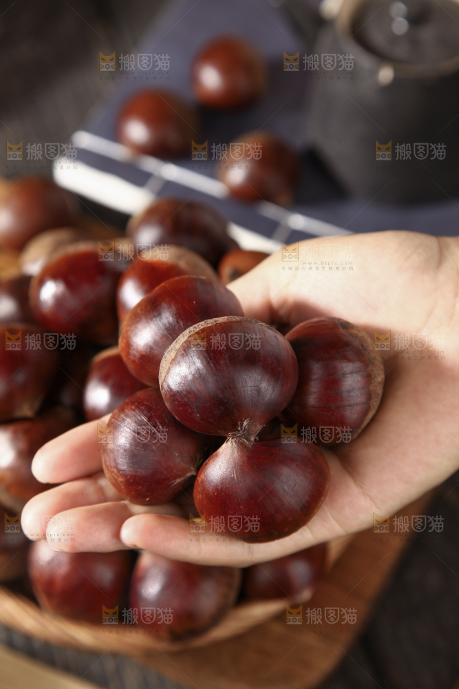 板栗