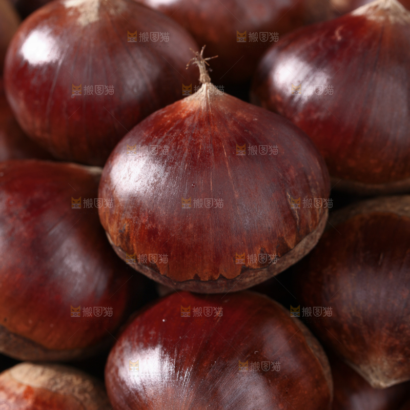 板栗