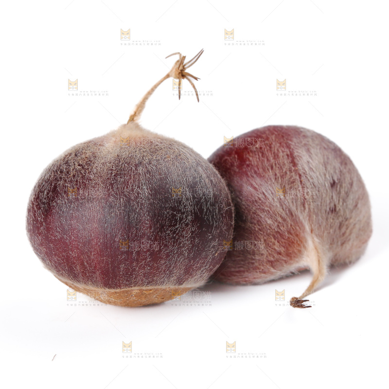 板栗