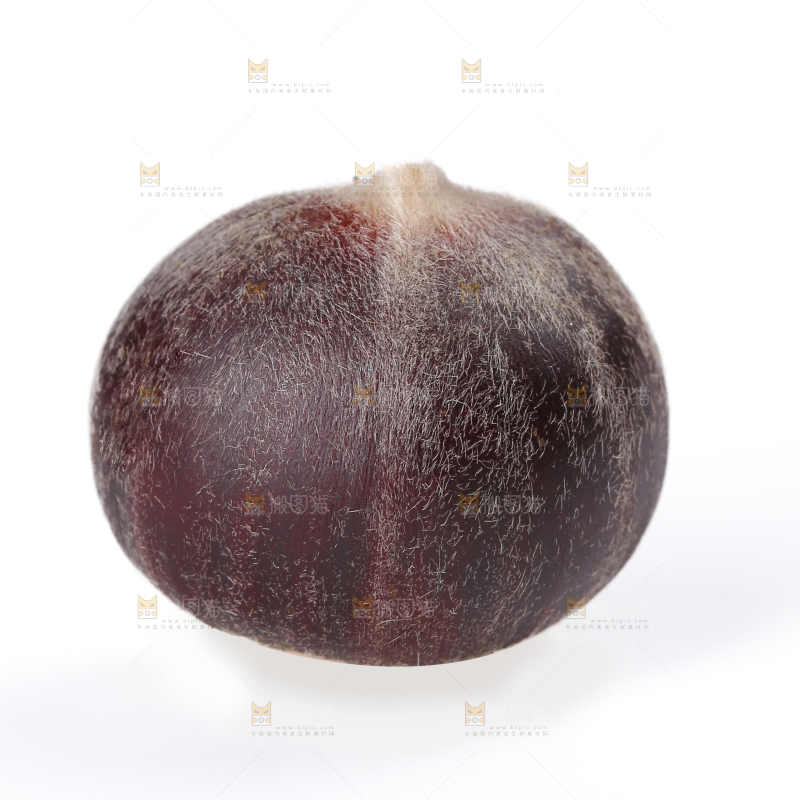 板栗