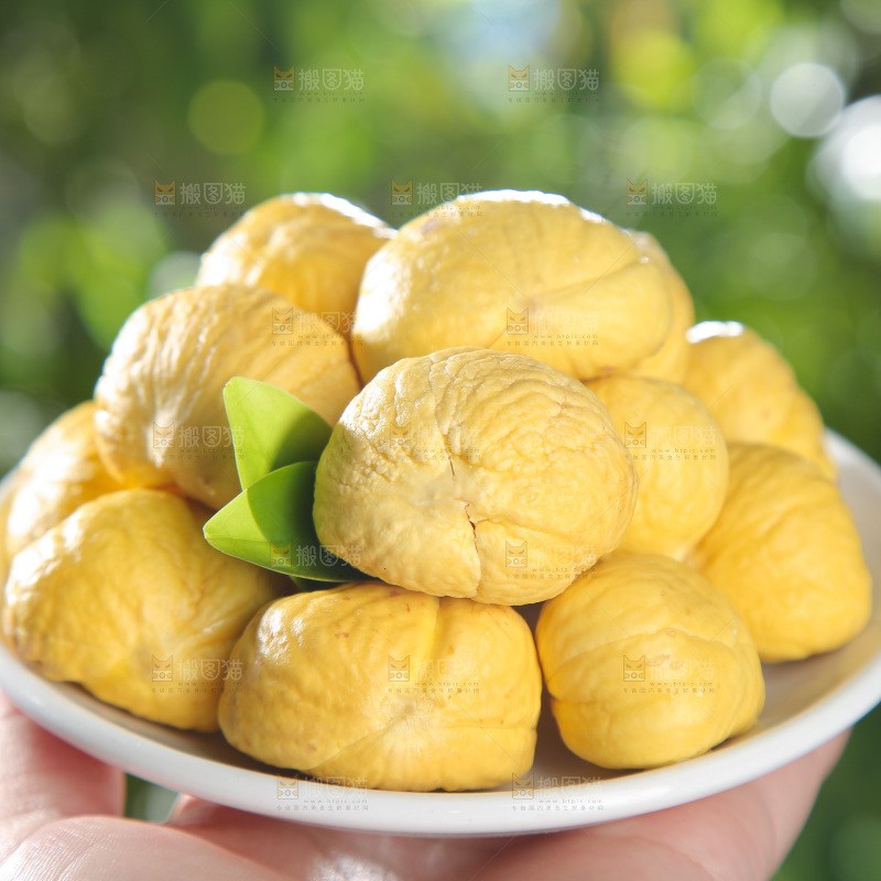 板栗