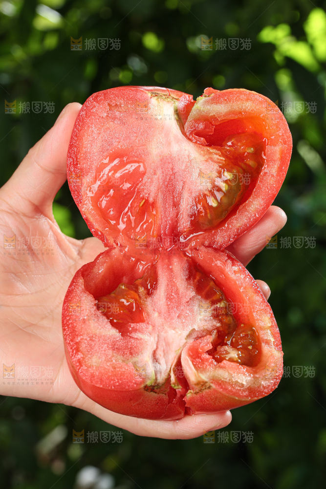 普罗旺斯西红柿