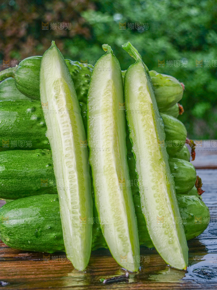 旱黄瓜