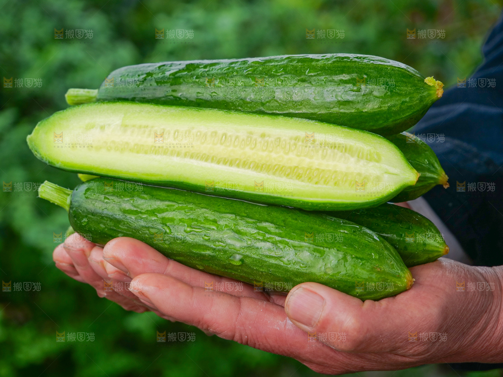 水果黄瓜