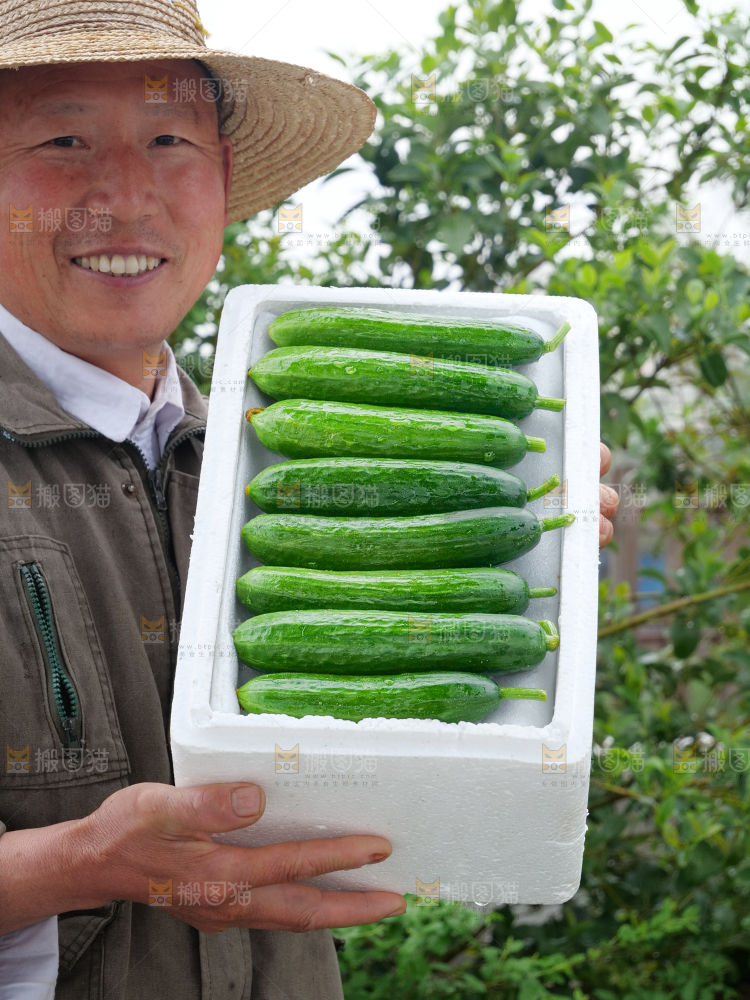 水果黄瓜